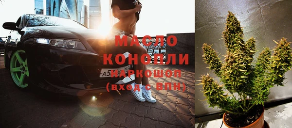 индика Дубовка